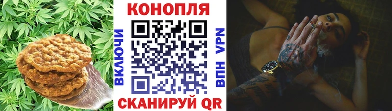 Cannafood конопля  Купить где  Пучеж 