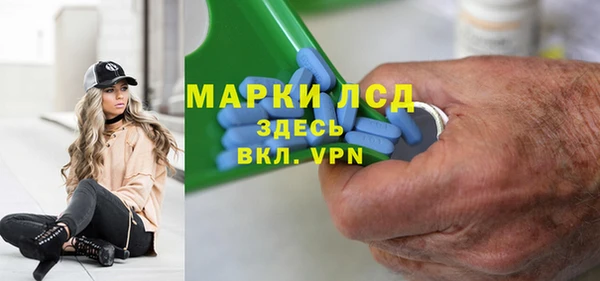 стаф Верея